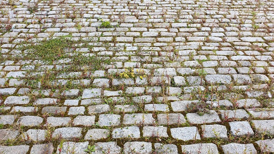 Close up of paving stones and weeds