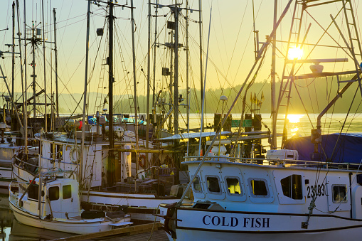 The Vancouver Island coast on March 31, 2013: Fishing dock at sunrise in the town of Sooke on Vancouver Island, British Columbia