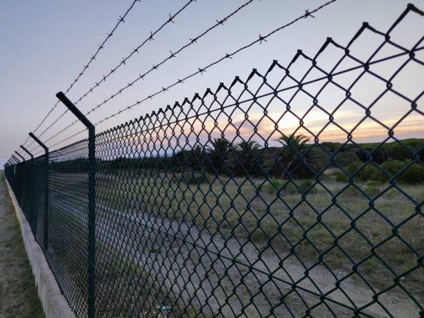 istock landscape with barbed wire /fence 1257629978
