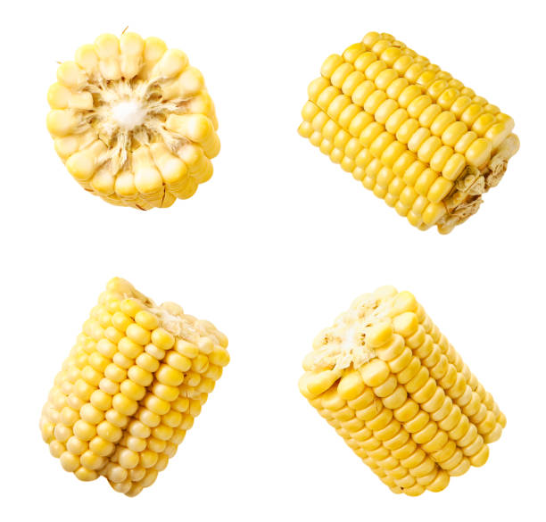 istock Set of peeled corn slices on a white background. Isolated 1257634876