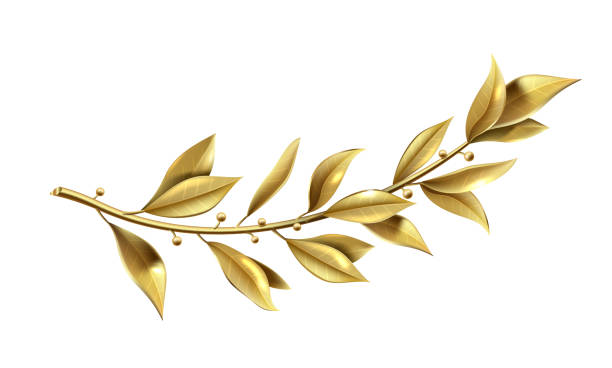 goldener lorbeerzweig teil des siegerkranzes - gold leaf stock-grafiken, -clipart, -cartoons und -symbole