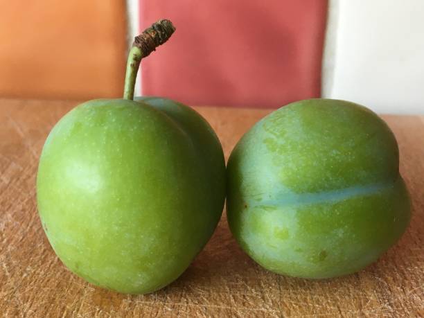 istock Organic fresh Greengage plum fruit closeup 1257637965