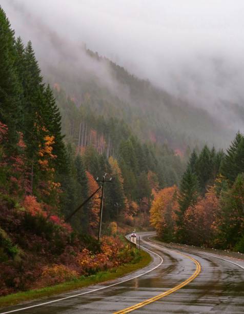 istock The Wet Winding Road 1257639267