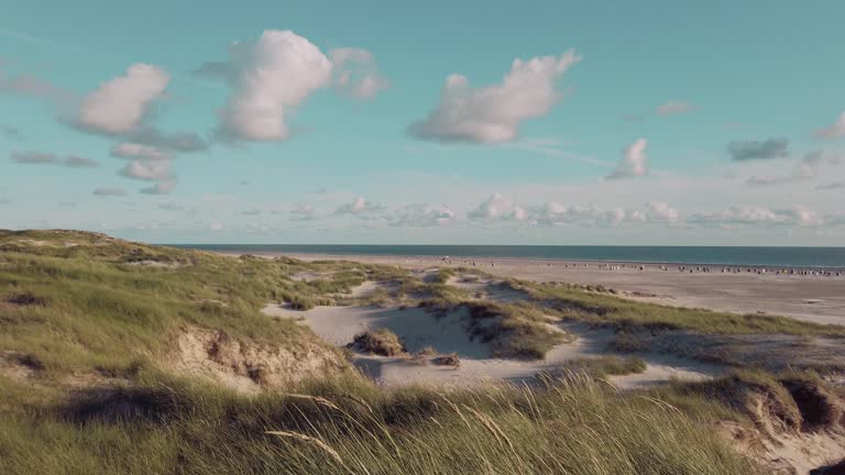 Coast Landscape Island of Amrum