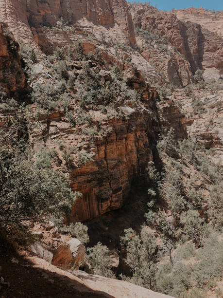 istock Zion National Park 1257640788
