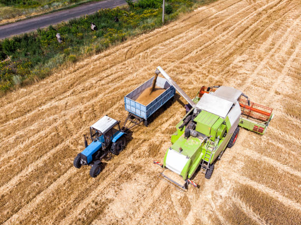 istock Aerial drone top view Big powerful industrial combine harvester machine unloading bin of wheat cereal in tractor on field bright summer day. Agricultural yellow field machinery landscape background 1257641493