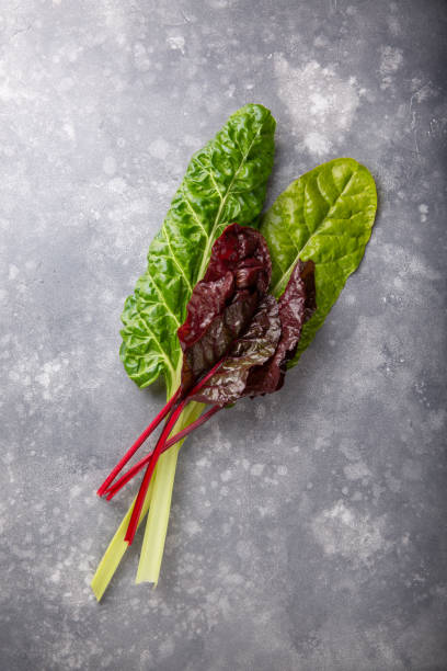 istock Chard leaves on gray background. Top view, copy space. 1257642928