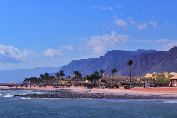 istock Amazing view on beach with blue water , palms, hotel and mountains 1257642954