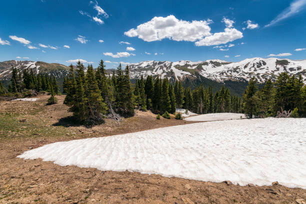 istock Landscape in the Vasquez Peak Wilderness, Colorado 1257646239