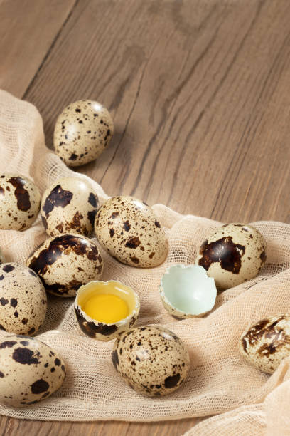 istock Composition of several quail eggs on decorative fabric on a wooden table close-up, copy space, virtical banner, flatlay 1257650218