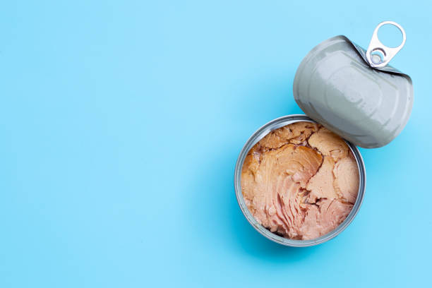 istock Canned tuna fish on blue background. 1257659506