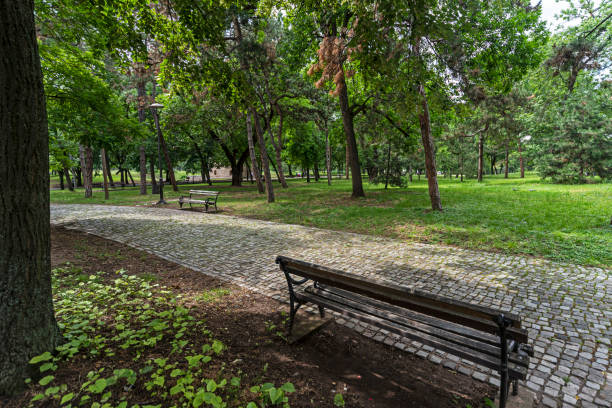 istock A park bench in the park 1257665648