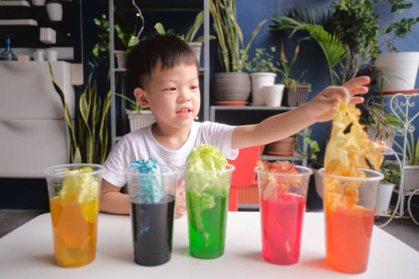 istock Asian kindergarten boy having fun making Rainbow Cabbage Experiment, Kid learn about how plants thrive by pulling water through its vein system 1257667511