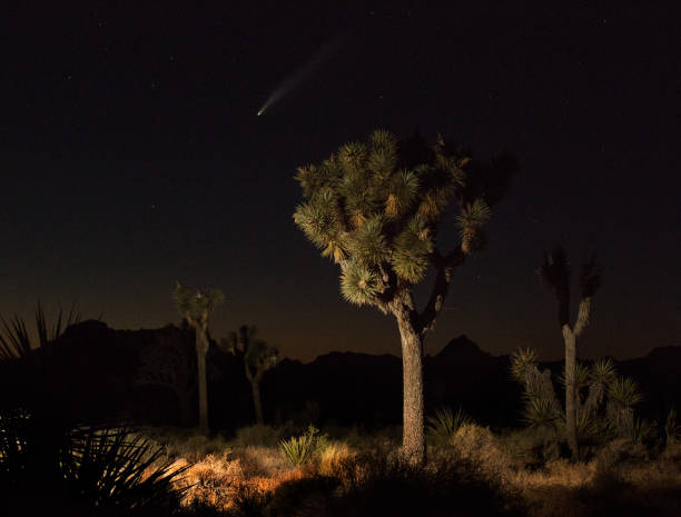 istock Comet NEOWISE at Joshua Tree National Park 1257677346