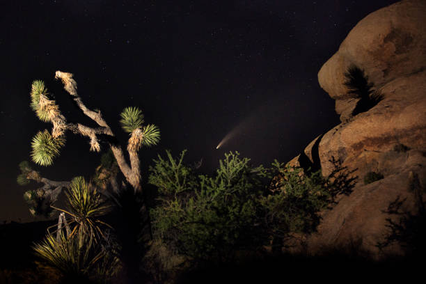 istock Comet NEOWISE at Joshua Tree National Park 1257677352