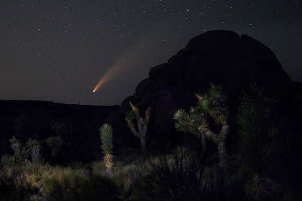 istock Comet NEOWISE at Joshua Tree National Park 1257677355