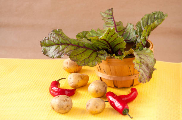istock Vegetables on the table : potatoes, red pepper, beet leaves in a basket 1257678964