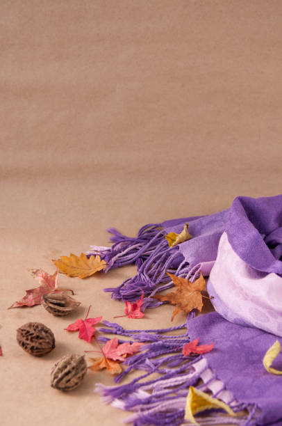 istock Autumn still life : lilac women's scarf, leaves and nuts 1257679864