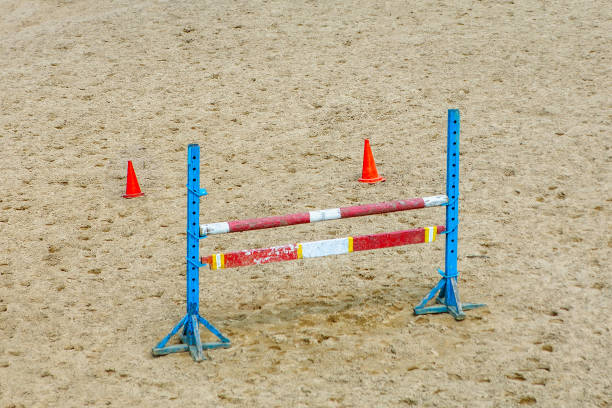 istock Horse jumping obstacle on the sand 1257679885
