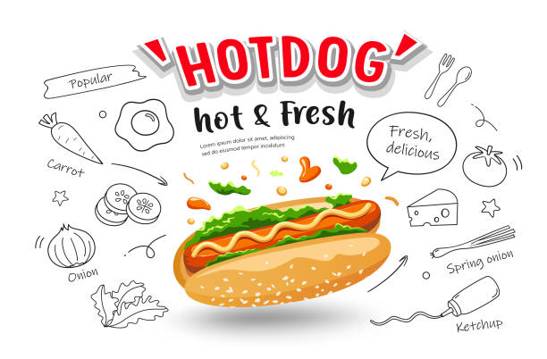 ilustrações de stock, clip art, desenhos animados e ícones de hot dog vector, hot and fresh, with food drawing poster banner design isolated - hot dog sausage spinach bread