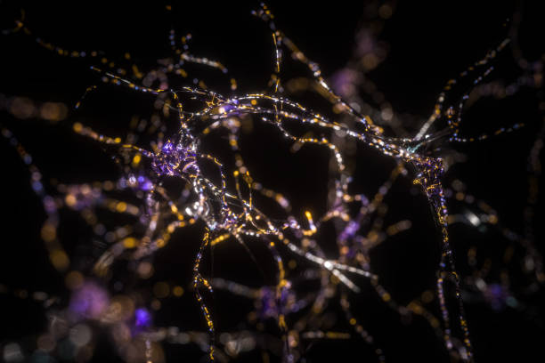 Mind during 2019-nCoV Interconnected neurons transferring information with electrical pulses.medical illustrations,BCI axon terminal stock pictures, royalty-free photos & images