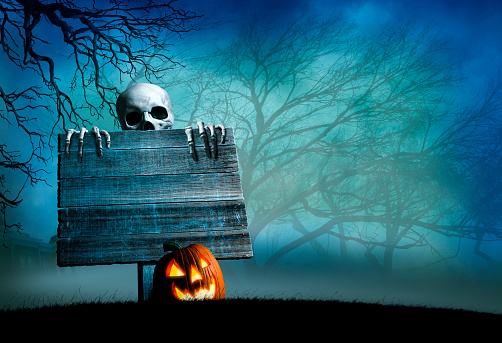 A skeleton peeks out from behind an old weathered sign in front of a mist and fog shrouded forest. An illuminated jack o'lantern rests at the base of the sign.
