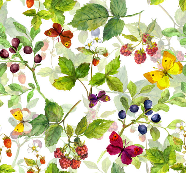 야생 허브, 나비와 열매. 원활한 초원 패턴. 수채화 - wallpaper pattern raspberry pattern seamless stock illustrations