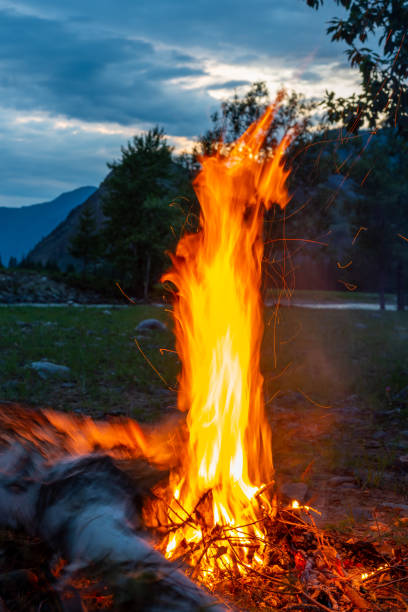 istock Birch firewood fire. Camping in the mountains at sunset 1257696612