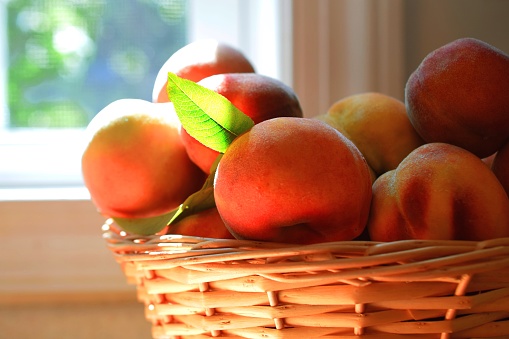 A basket of fresh peaches near a kitchen window, sunlight from above. Close up view.