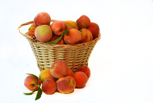 A basket of fresh peaches on a white background. Peaches in basket and outside around basket. Cutout.