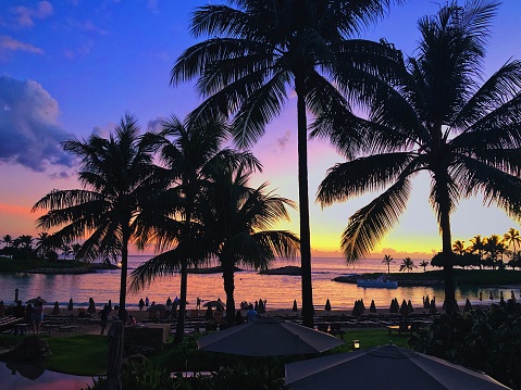 Hawaiian sunset beachside