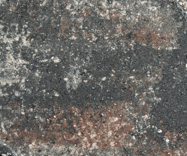 istock Texture of paver stone as a background 1257701375