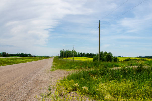 istock Vibrant yellow canola fields in rural Manitoba, Canada 1257703077