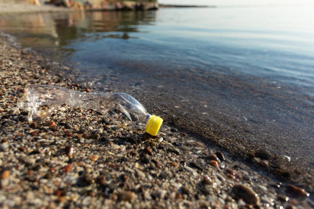 istock Plastic Bottle Lying On Beach Near Water Outdoors, Ecology Background 1257704358