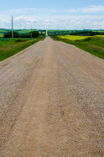 drogi krajowe i tętniące życiem żółte pola rzepaku na wsi manitoba, kanada - manitoba canada prairie canola zdjęcia i obrazy z banku zdjęć