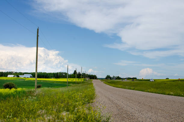 strade di campagna e vivaci campi di canola gialla nella manitoba rurale, canada - manitoba canada prairie canola foto e immagini stock