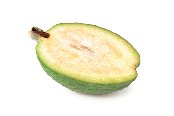 corte de feijoa aislado sobre fondo blanco. acca sellowiana. fruta tropical - feijoas ripe fruit iodine fotografías e imágenes de stock