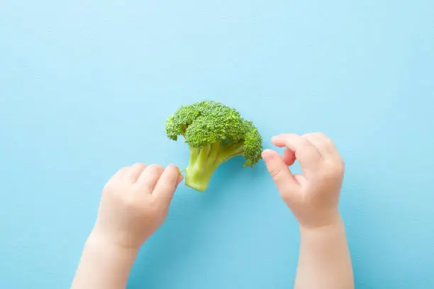 Baby hands touching piece of green broccoli on light blue table background. Pastel color. Fresh vegetable. Closeup. Point of view shot. Top down view.
