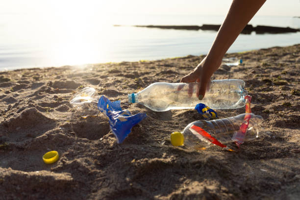istock Unrecognizable Volunteer Picking Up Plastic Litter Cleaning Beach Outside, Cropped 1257709240