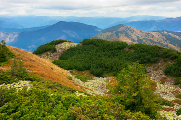 istock mountain landscape with green stones 1257709485