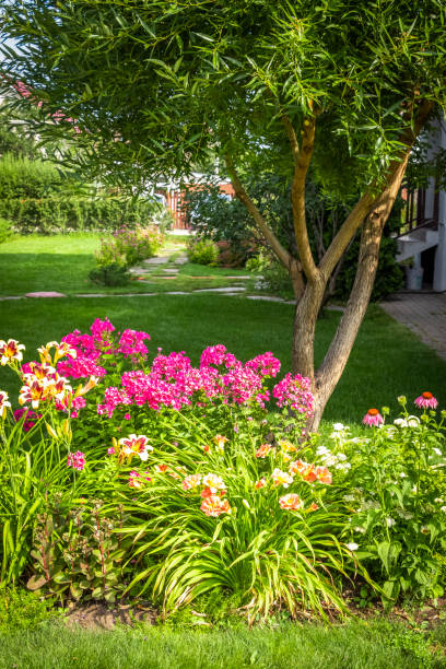 Colorful flower garden