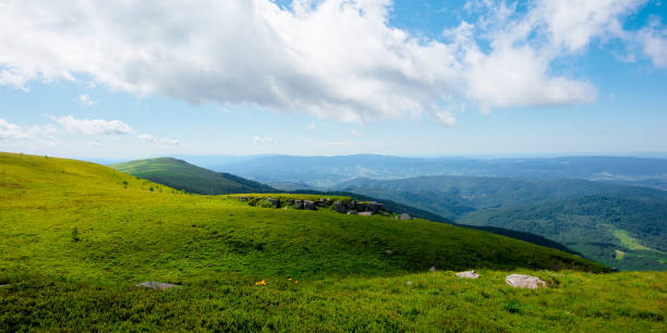 istock meadow with rocks on grassy alpine meadow. 1257710137