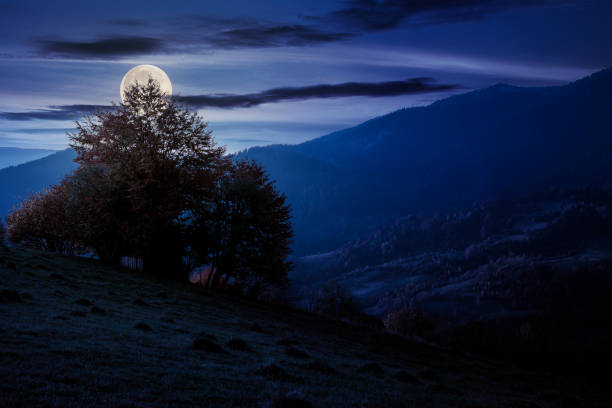 istock autumnal rural landscape at night 1257710987