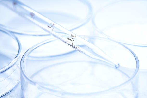 istock Pipette and petri dishes on white in laboratory 1257711009