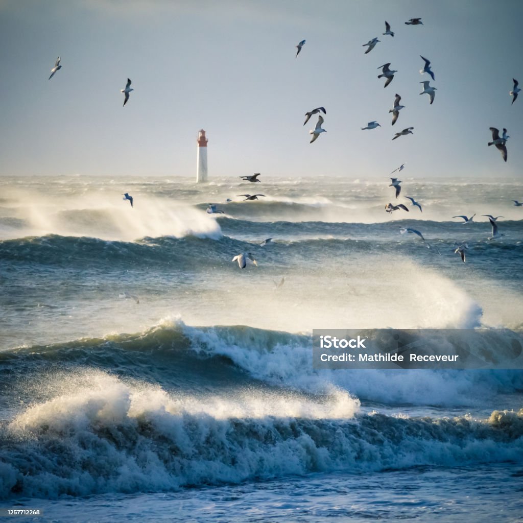 lighthouse in the sea during windstorm with seagulls. blue sky a lighthouse in the sea during windstorm with seagulls. blue sky and beautiful waves Sea Stock Photo