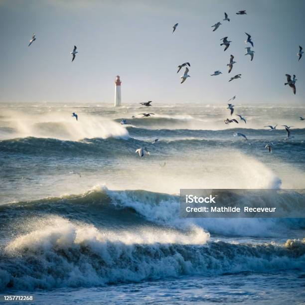Lighthouse In The Sea During Windstorm With Seagulls Blue Sky A Stock Photo - Download Image Now
