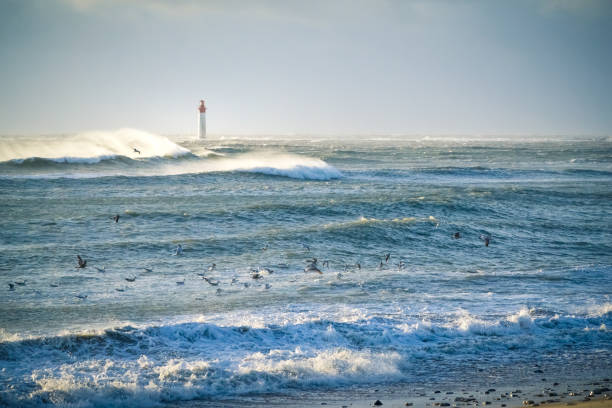 Nature of Portugal