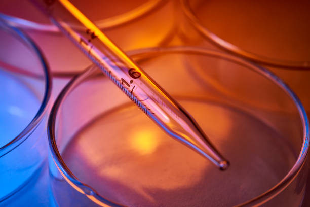Pipette and petri dishes in laboratory. Colorful abstract.