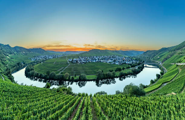 istock scenic moselle river loop at Leiwen, Trittenheim 1257713492
