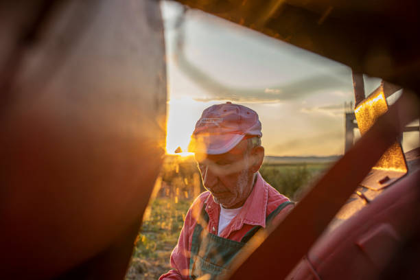 ritratto di un contadino nel archiviato durante il tramonto - agricultural machinery retro revival summer farm foto e immagini stock